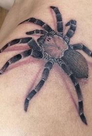 Shoulder 3D color spider tattoo pattern