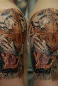 realistisk stil farve brølende tiger tatoveringsmønster