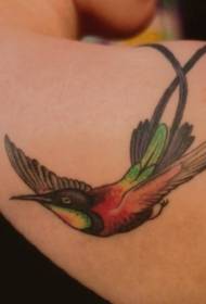pečių spalvinga kolibrio skraidančios tatuiruotės nuotrauka