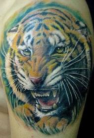 shoulder color realistic and angry tiger tattoo pattern