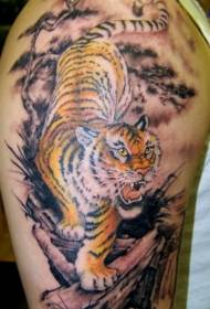 Shoulder color downhill tiger tattoo pattern