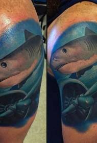 Колер пляча ўтапіў самалёт і вялікі малюнак татуіроўкі акулы