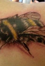 肩膀3D顏色大黃蜂紋身圖案