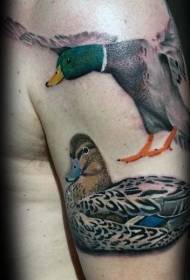 imagem de tatuagem de pato de cor de ombro masculino