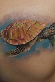 váll vízszín reális teknős tetoválás minta