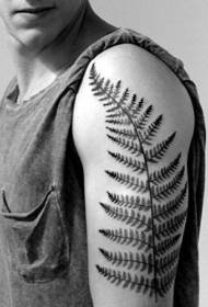 uzorak tetovaže listova muškog ramena paprati
