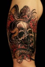 brand new style color skull with snake tattoo pattern