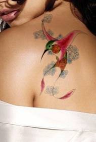 female shoulder water color hummingbird Tattoo pattern