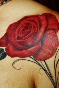 female shoulder simple color rose tattoo picture
