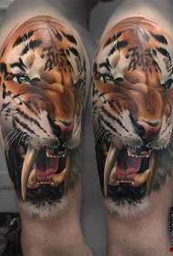 male shoulder Color roaring tiger tattoo pattern
