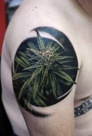 istilo sa realistiko nga estilo sa tanom nga cannabis nga tanum nga tattoo
