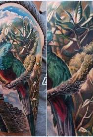 shoulder color Mayan pyramid parrot tattoo picture