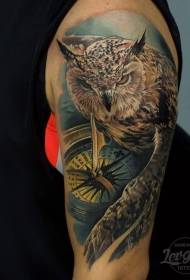 肩部彩色猫头鹰和指南针纹身图案