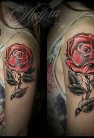 Schulterfarbe alte Schule rote Rose Tattoo Muster