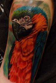 На плячы рэалістычны каляровы малюнак татуіроўкі папугая