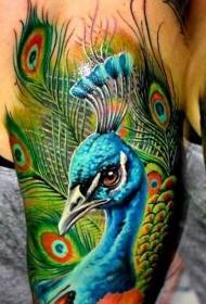 shoulder realism style colorful peacock tattoo pattern
