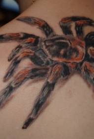 Shoulder realistic color plush spider tattoo pattern