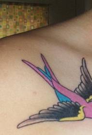 Krāsains bezdelīgas tetovējuma modelis sievietes pleca lidojumam