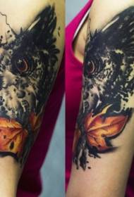 Shoulder new traditional style owl tattoo picture