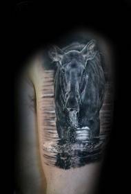Big arm very realistic wild horse drinking tattoo pattern
