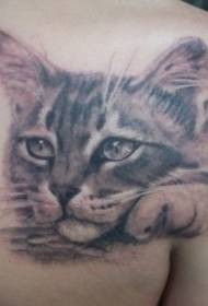 Atgal liūdnas katės tatuiruotės modelis