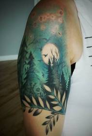 Arm i bukur shumëngjyrësh modeli i tatuazheve të shpendëve të pyjeve të natës dhe yjeve