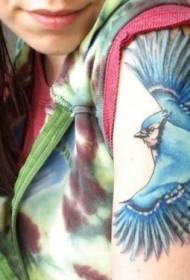 Patró de tatuatge d'aus blaus que volen els ocells