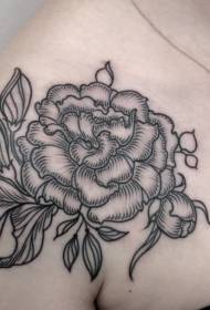 Shoulder black line simple rose tattoo pattern
