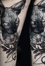 Ieroču dzīvesveida melns kaķis bez matiem un ziedu tetovējums