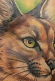 Ienfâldige realistyske kleur wylde kat tatoeëringspatroan op 'e rêch