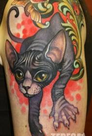 Maľovaná sfinga mačka a lienka vzor