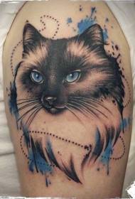 Слатка мачка у боји руке с узорком тетоваже плавих очију