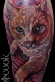 腕の現実的なスタイルの色の猫の肖像画のタトゥーパターン