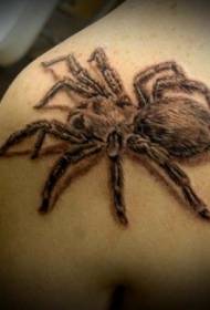 Padrão de tatuagem de aranha preta no ombro