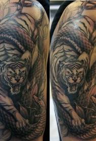 Patrón de tatuaje de pelea de tigre y serpiente de estilo negro y gris