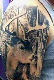 Big arm gorgeous realistic style forest with deer tattoo pattern