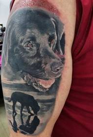 Big arm realistic color puppy tattoo pattern