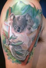 Big arm realistic cute koala tattoo pattern