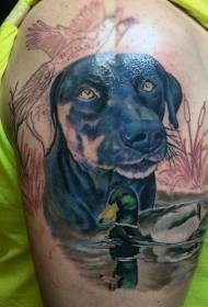 Big arm realistic style colorful hound dog with duck tattoo pattern