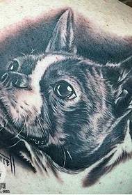 Shoulder personality bulldog tattoo pattern