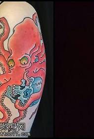 Olkapäälle maalattu mustekala tatuointikuvio