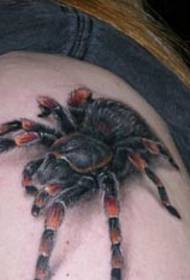 tattoo spider ທີ່ແທ້ຈິງທີ່ແທ້ຈິງຢູ່ເທິງບ່າ