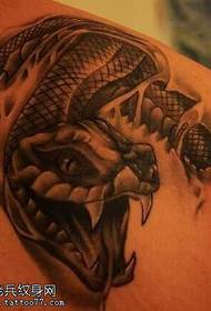 Cobra com tatuagem no ombro