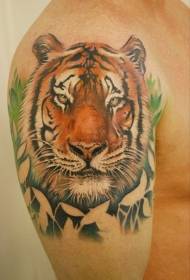 大臂写实丛林老虎纹身图案