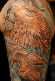 Realistic style colorful eagle big arm tattoo pattern