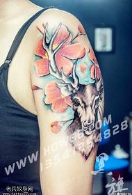 Floral ελάφι τατουάζ μοτίβο στον ώμο