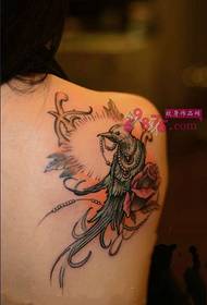 Creative shoulder sac parrot tattoo picture
