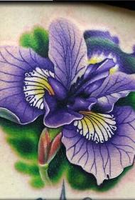 Male, girl shoulder color lily tattoo manuscript picture picture