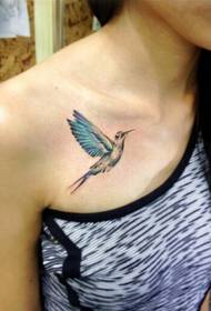 Female clavicle colored nice hummingbird tattoo pattern picture