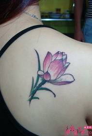 苞 苞 放 小 小 lotus shoulder tattoo pictures